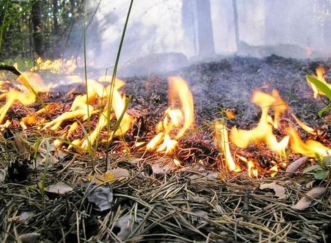 Не выпускайте огонь из рук! Не выпускайте огонь из рук!