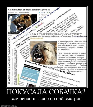 ПОКУСАЛА СОБАЧКА? - сам виноват - косо на неё посмотрел ПОКУСАЛА СОБАЧКА? - сам виноват - косо на неё посмотрел