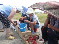 торговля на обочине